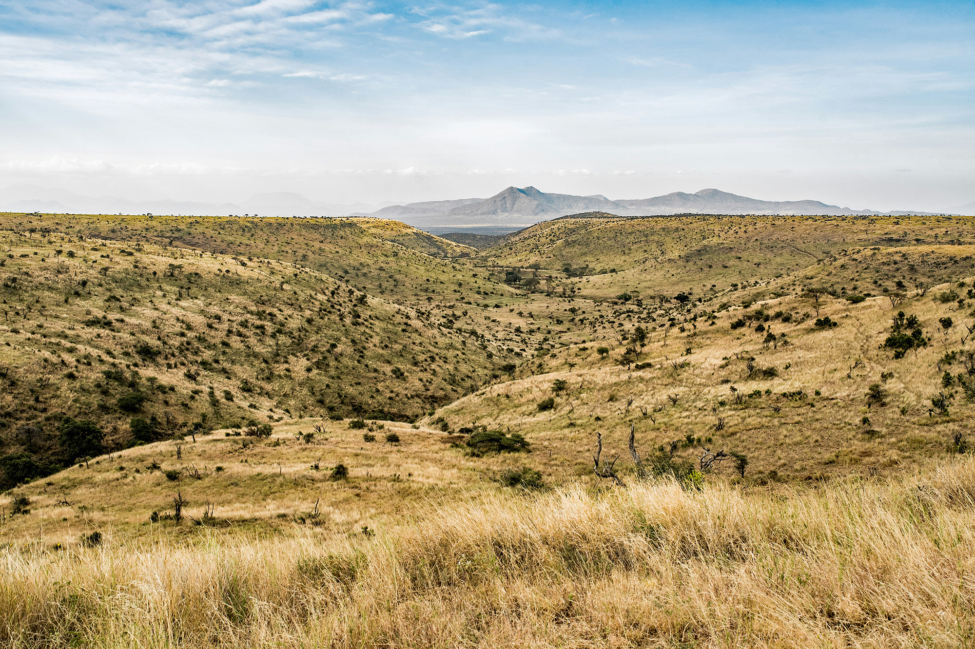 samburu national park landscape