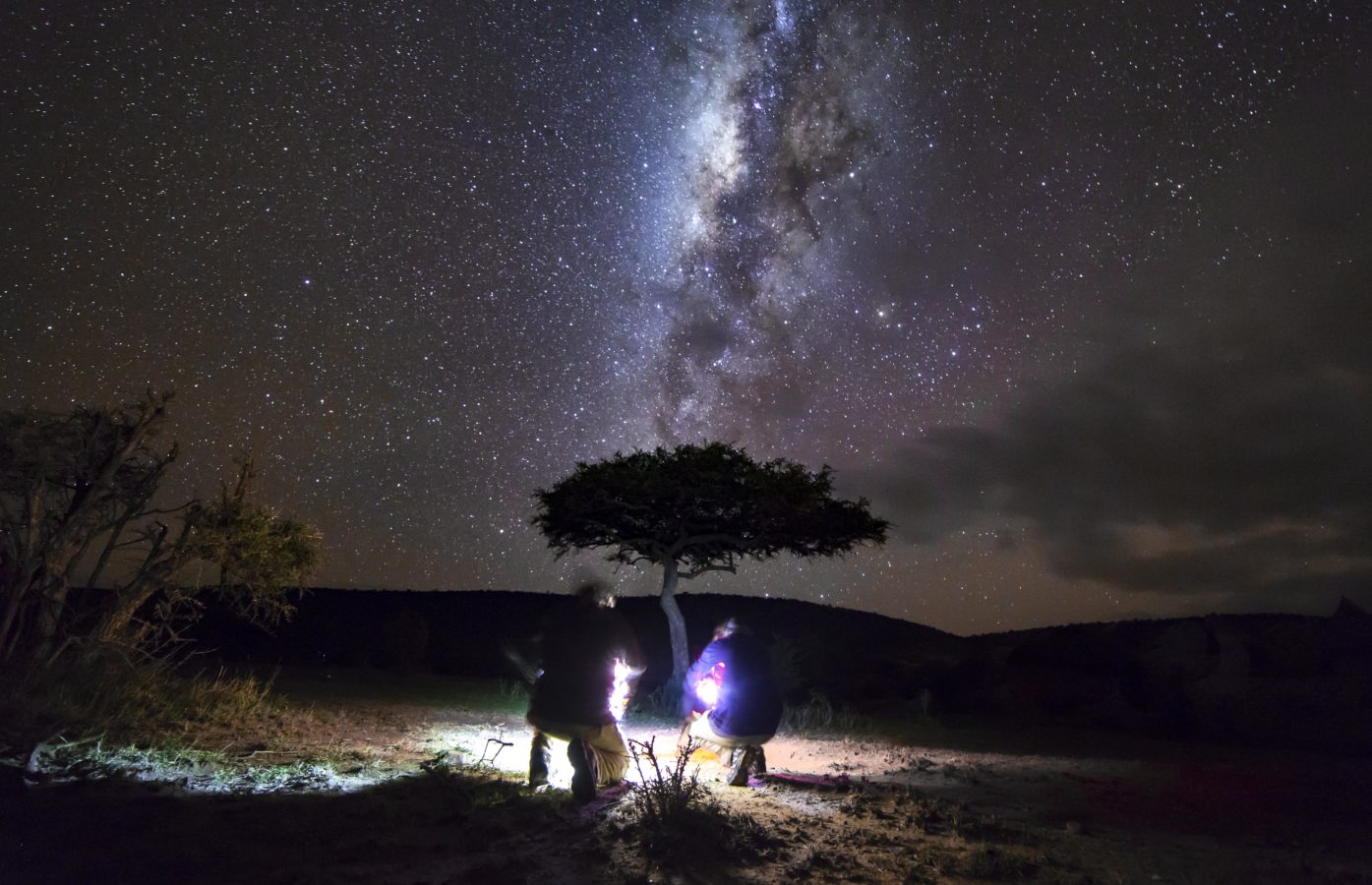 people enjoying the night sky