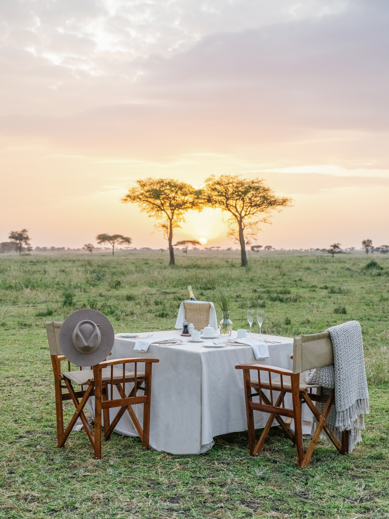 a dining table in the wilderness at sunrise