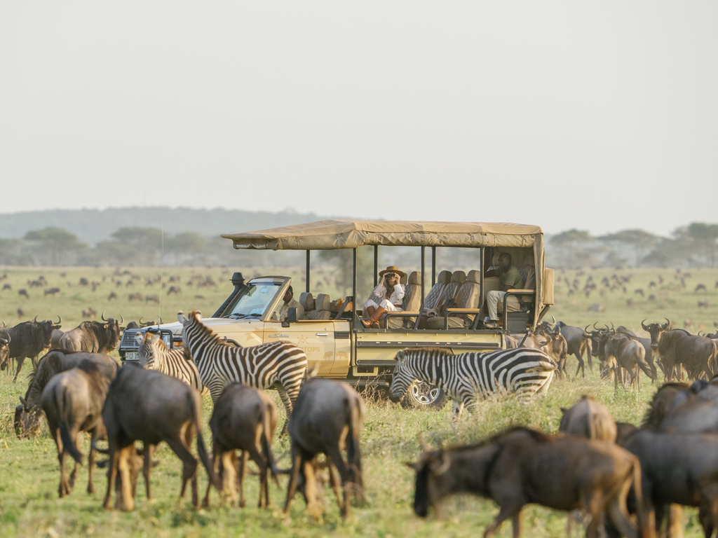 a safari vehicle with animals